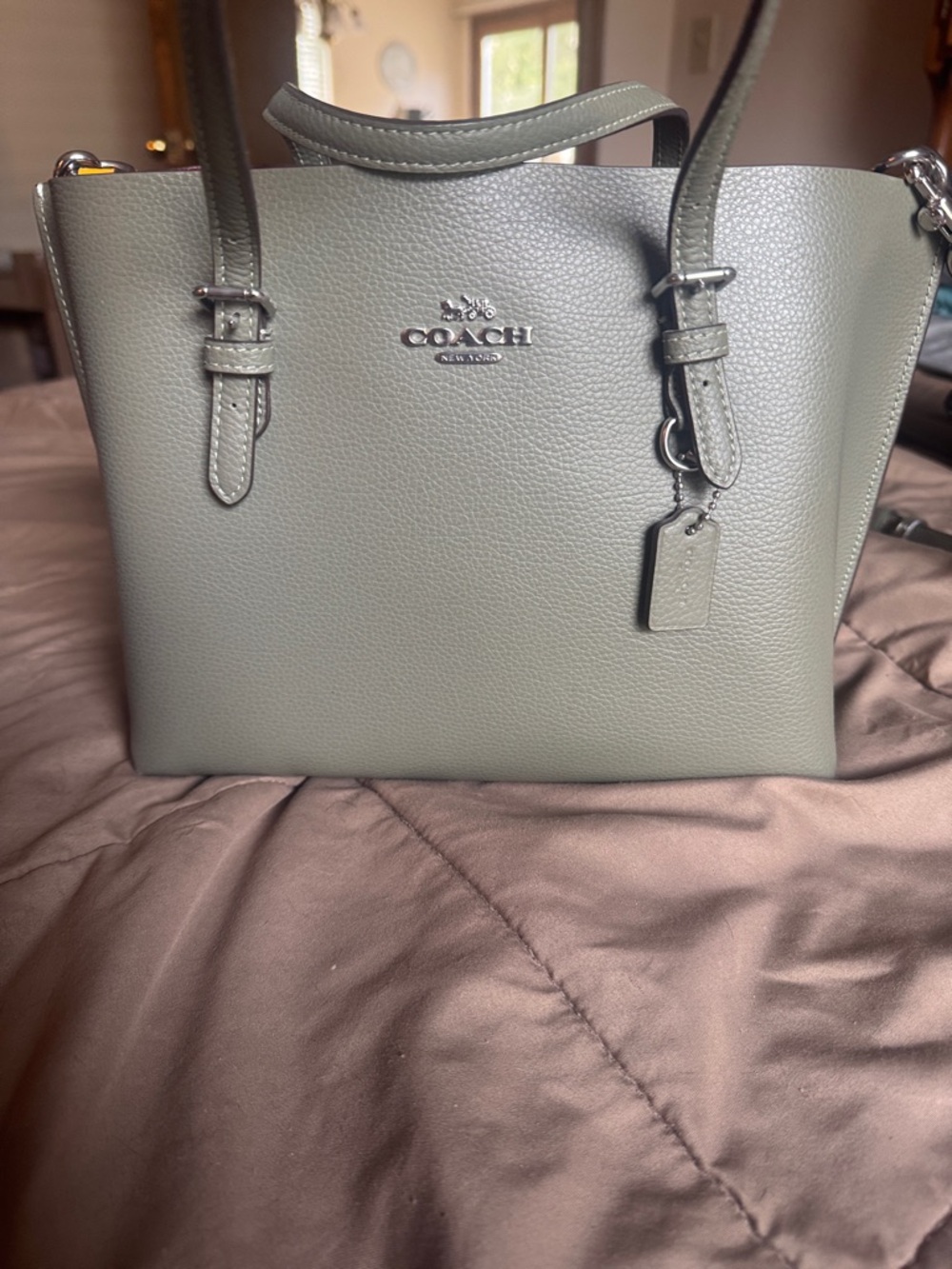 Coach Pebbled Leather Satchel in Sage
